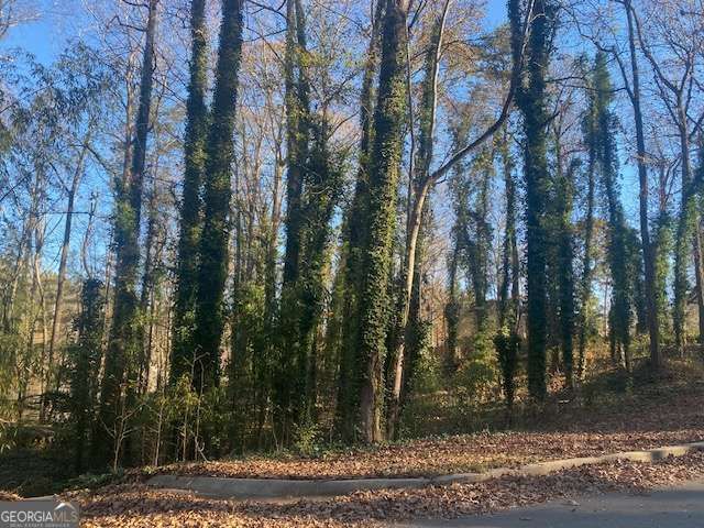 0 Lakeside Drive, Ellenwood, GA 30294