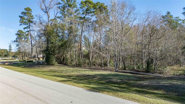 27430 Whispering Maple Way, Spring, TX 77386