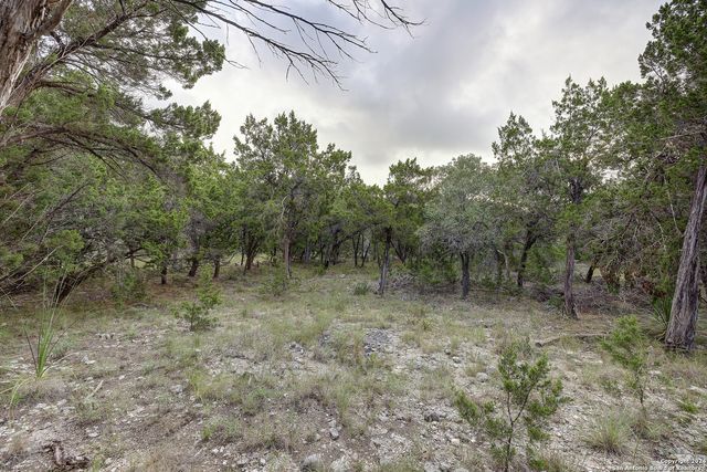 11411 Anaqua Springs, Boerne, TX 78006