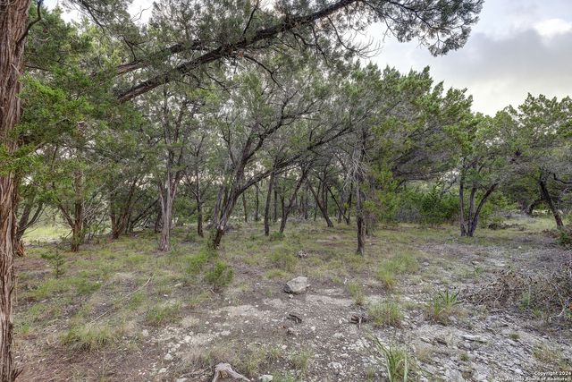 11411 Anaqua Springs, Boerne, TX 78006