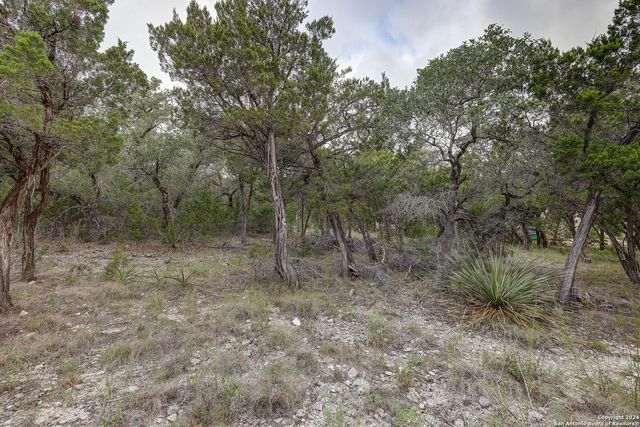 11411 Anaqua Springs, Boerne, TX 78006