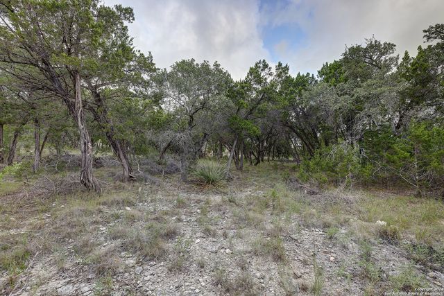 11411 Anaqua Springs, Boerne, TX 78006