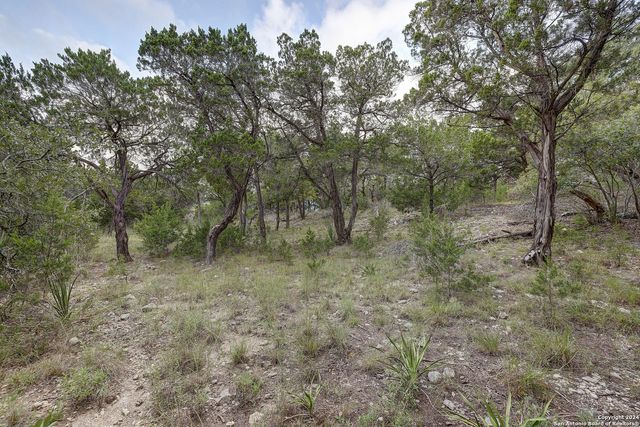 11411 Anaqua Springs, Boerne, TX 78006