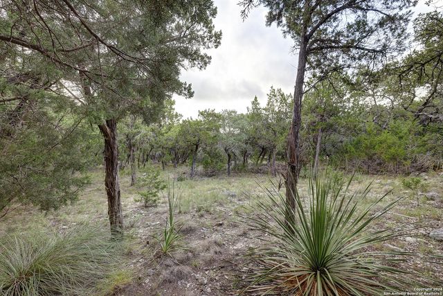 11411 Anaqua Springs, Boerne, TX 78006