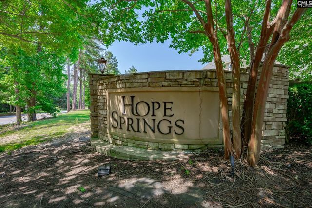 178 Hope Springs Road, Lexington, SC 29072