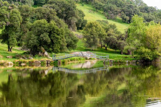 265 Grapevine Ravine Ln, Newcastle, CA 95658