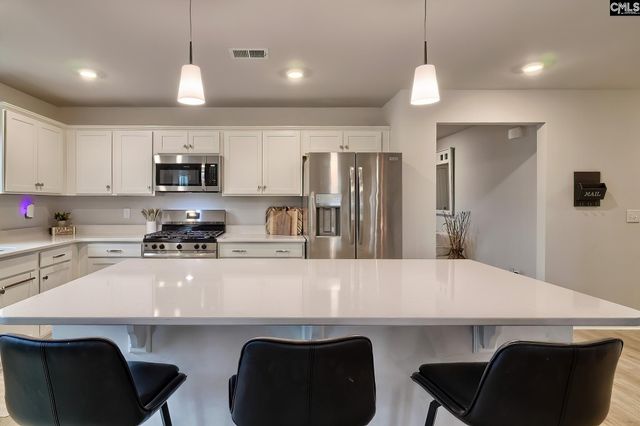 747 Clementine Run, Gilbert, SC 29054