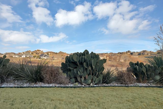 12233 Bella Palazzo Drive, Fort Worth, TX 76126