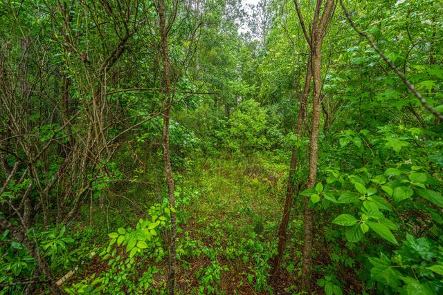 417 Stonefield Circle, Moncks Corner, SC 29461