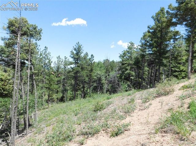 13670 Spruce Creek Circle, Larkspur, CO 80118