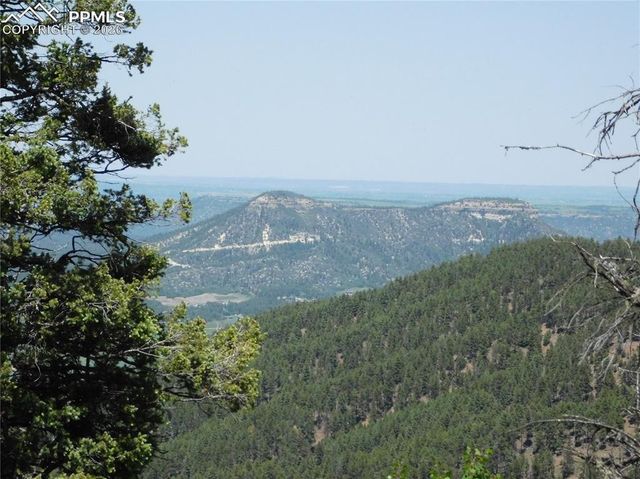 13670 Spruce Creek Circle, Larkspur, CO 80118