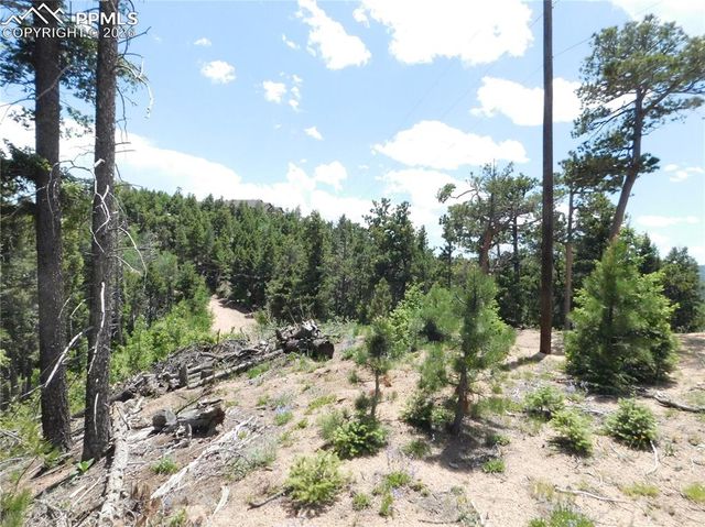 13670 Spruce Creek Circle, Larkspur, CO 80118