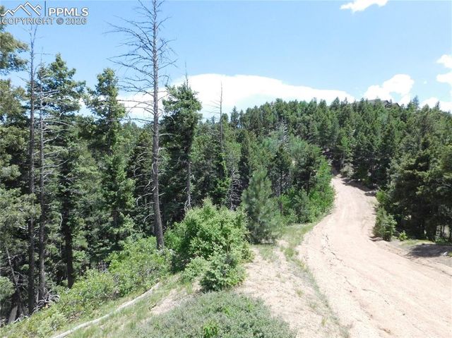 13670 Spruce Creek Circle, Larkspur, CO 80118