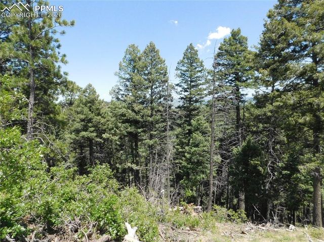 13670 Spruce Creek Circle, Larkspur, CO 80118