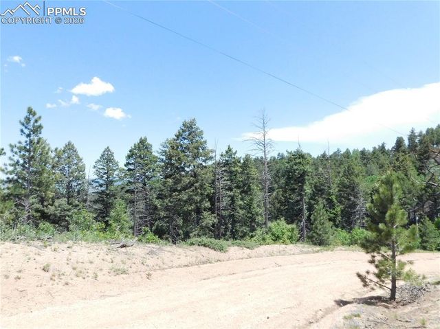 13670 Spruce Creek Circle, Larkspur, CO 80118