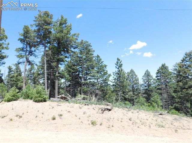 13670 Spruce Creek Circle, Larkspur, CO 80118