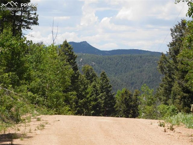 13670 Spruce Creek Circle, Larkspur, CO 80118