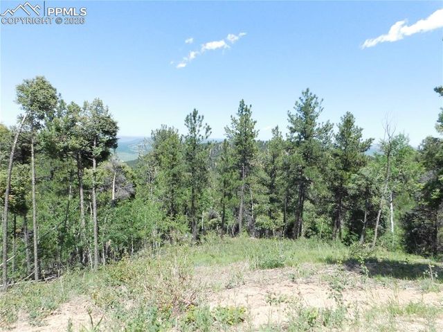 13670 Spruce Creek Circle, Larkspur, CO 80118
