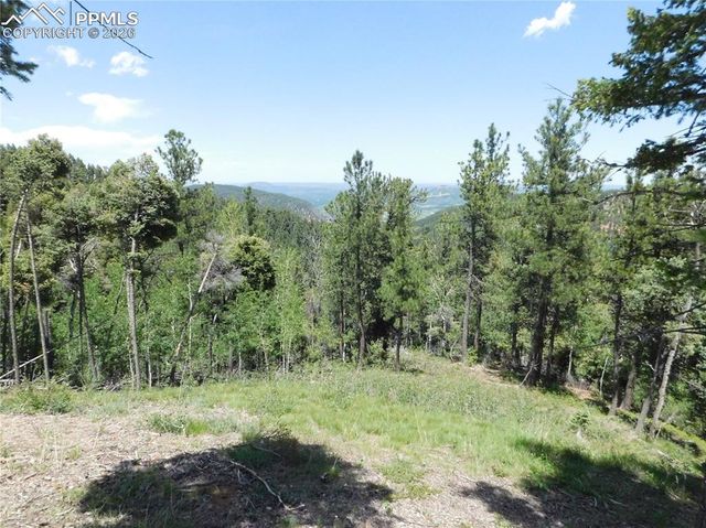 13670 Spruce Creek Circle, Larkspur, CO 80118