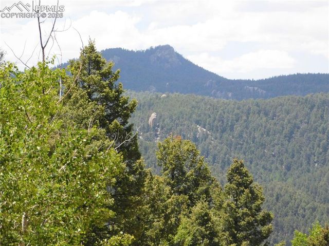 13670 Spruce Creek Circle, Larkspur, CO 80118