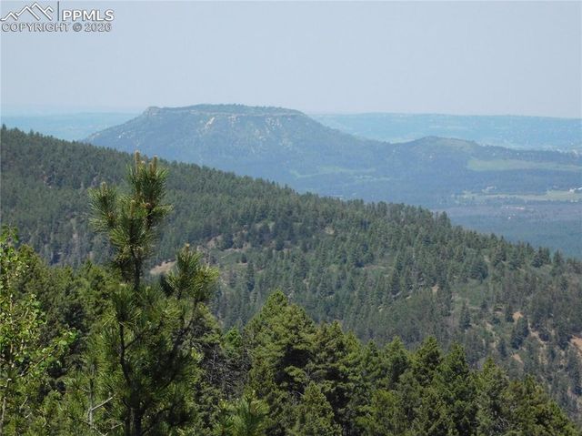 13670 Spruce Creek Circle, Larkspur, CO 80118