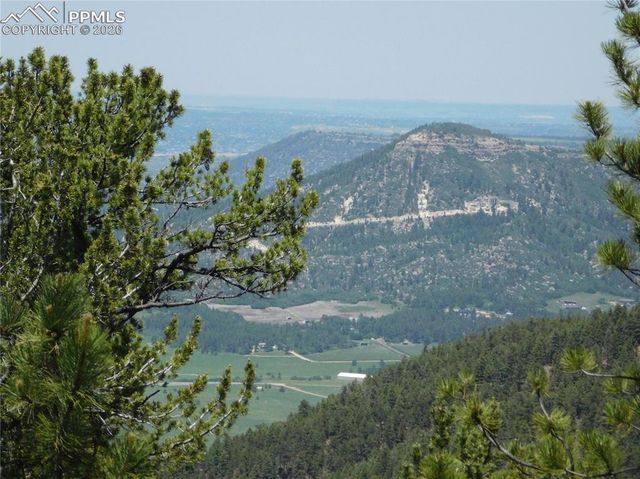 13670 Spruce Creek Circle, Larkspur, CO 80118