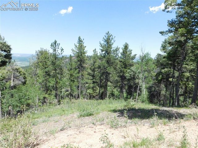 13670 Spruce Creek Circle, Larkspur, CO 80118