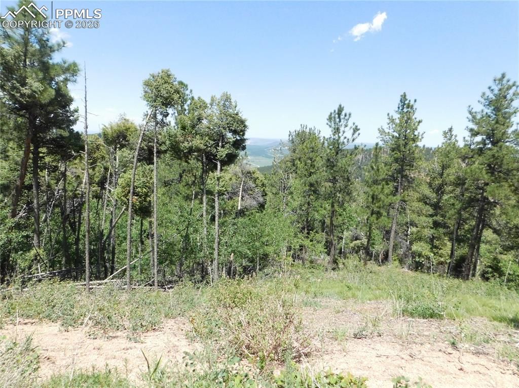 13670 Spruce Creek Circle, Larkspur, CO 80118