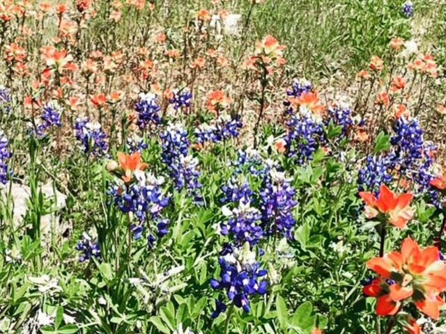 600 Summit PASS, San Marcos, TX 78666