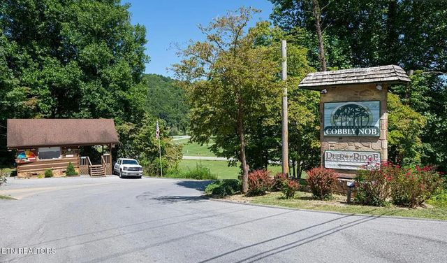 942 Vixen Run, Gatlinburg, TN 37738