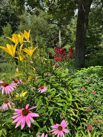 6952 Oakmere Lane NW, Rochester, MN 55901