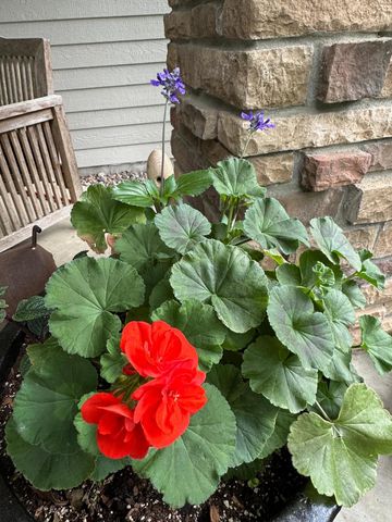 6952 Oakmere Lane NW, Rochester, MN 55901