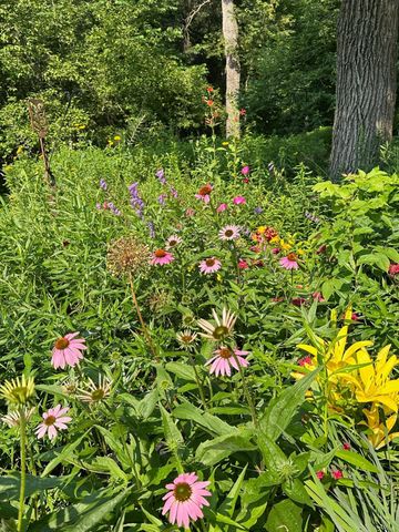 6952 Oakmere Lane NW, Rochester, MN 55901