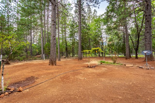 29517 CA-44, Shingletown, CA 96088