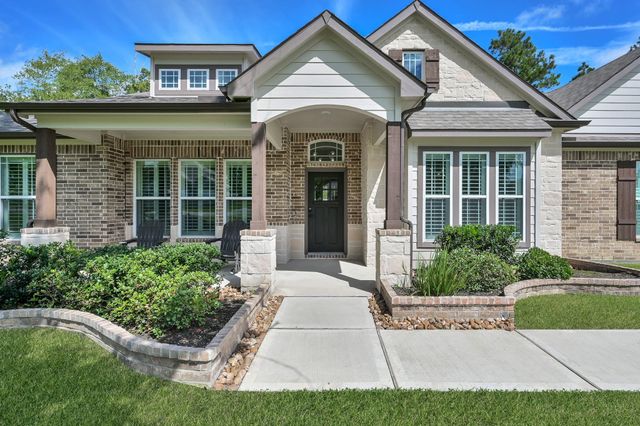 18207 Samie Nell Court, Willis, TX 77378