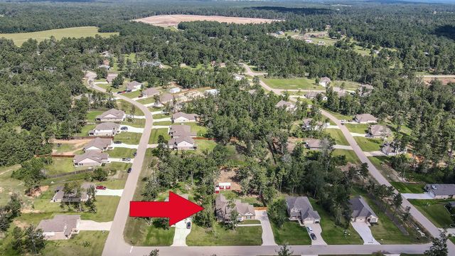 18207 Samie Nell Court, Willis, TX 77378