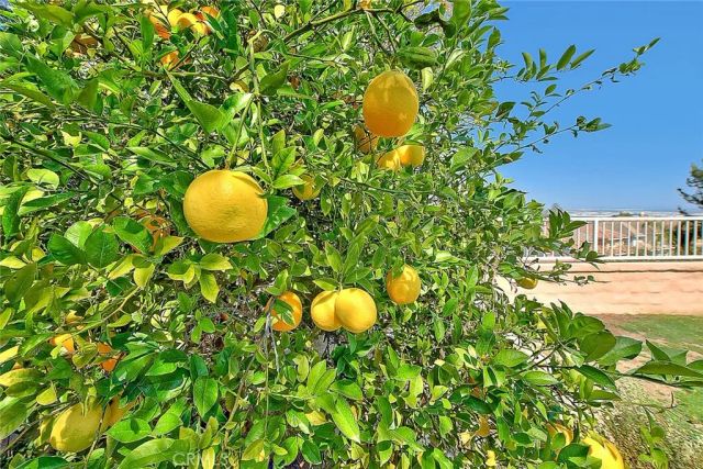 16243 Annatto Court, Chino Hills, CA 91709