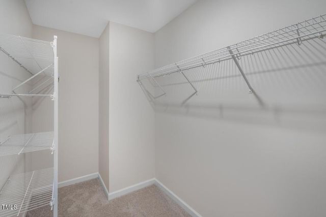 1205 Pavo Path, Wendell, NC 27591