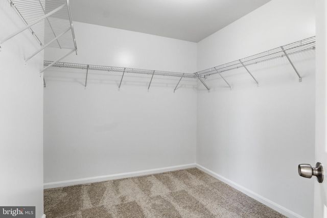 8577 SALTLICK TER, Manassas, VA 20112