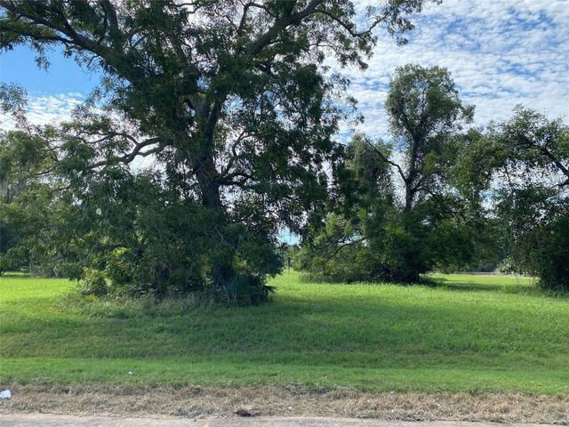 275 Horse Shoe Trail, Angleton, TX 77515