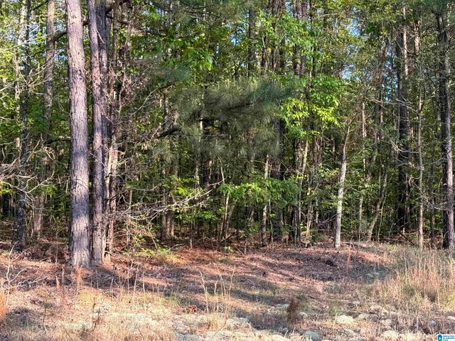 0 PINEY WOODS ROAD, Vincent, AL 35178