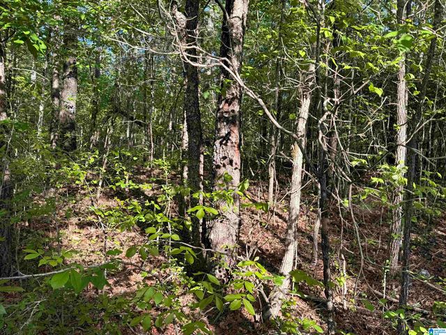 0 PINEY WOODS ROAD, Vincent, AL 35178