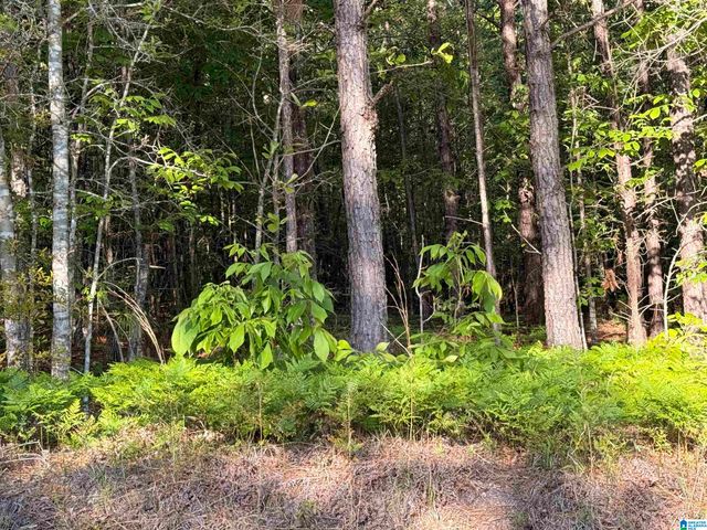 0 PINEY WOODS ROAD, Vincent, AL 35178