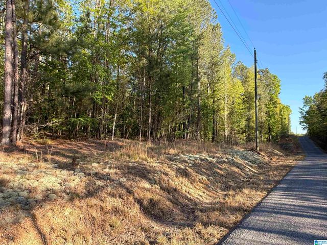 0 PINEY WOODS ROAD, Vincent, AL 35178