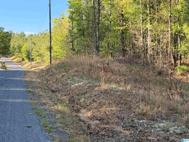 0 PINEY WOODS ROAD, Vincent, AL 35178