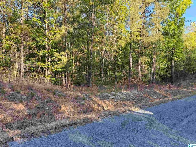 0 PINEY WOODS ROAD, Vincent, AL 35178
