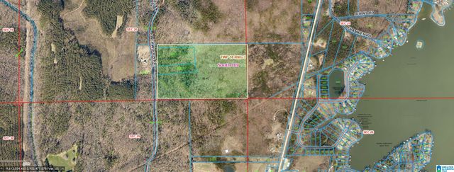 0 PINEY WOODS ROAD, Vincent, AL 35178