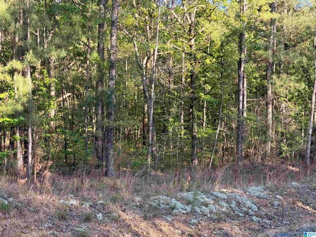 0 PINEY WOODS ROAD, Vincent, AL 35178