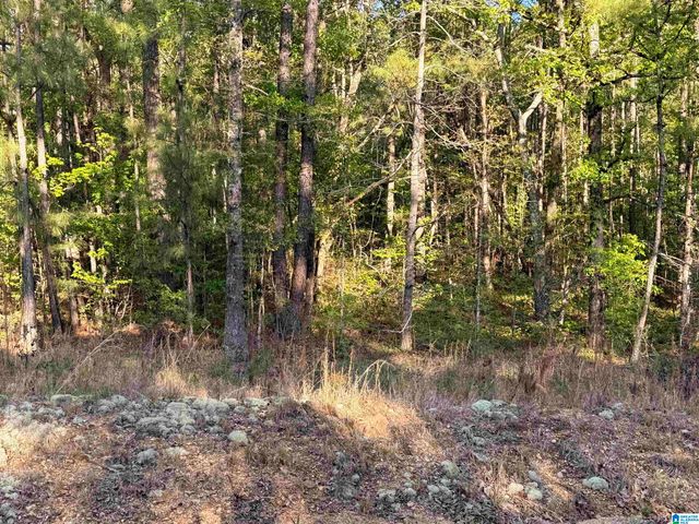 0 PINEY WOODS ROAD, Vincent, AL 35178