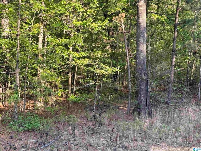 0 PINEY WOODS ROAD, Vincent, AL 35178